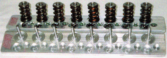 Valve Spring Rack